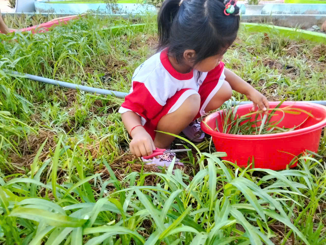 Trẻ hoạt động với vườn rau